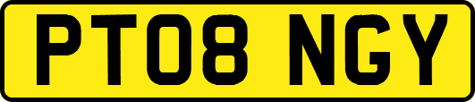 PT08NGY