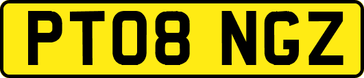 PT08NGZ