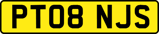 PT08NJS