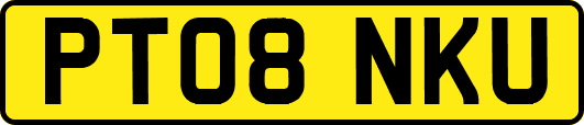 PT08NKU