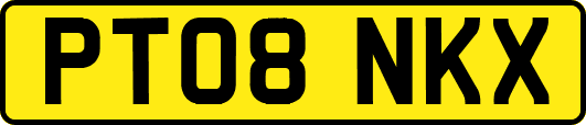 PT08NKX