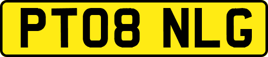 PT08NLG