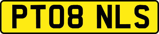 PT08NLS