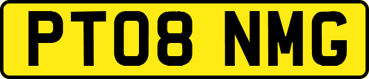 PT08NMG