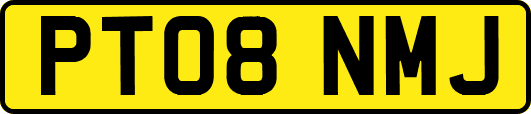 PT08NMJ