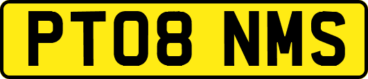 PT08NMS