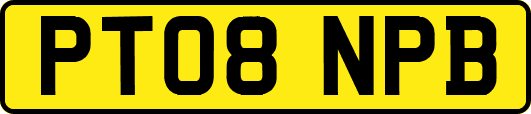 PT08NPB