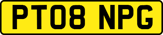 PT08NPG