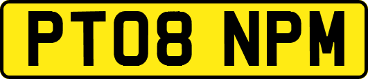 PT08NPM