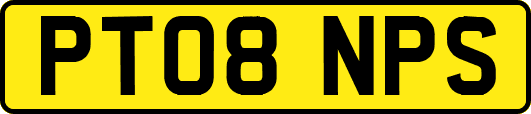 PT08NPS
