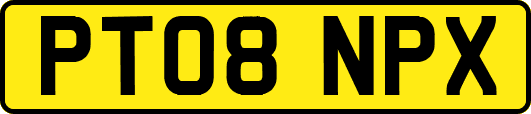 PT08NPX