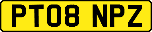 PT08NPZ
