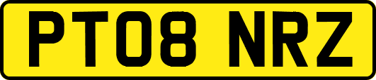 PT08NRZ