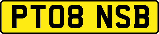 PT08NSB