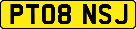 PT08NSJ