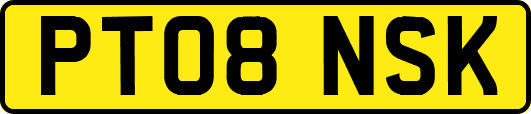 PT08NSK