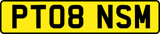 PT08NSM