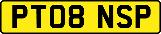 PT08NSP