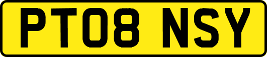 PT08NSY