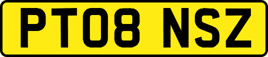 PT08NSZ