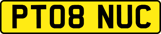 PT08NUC