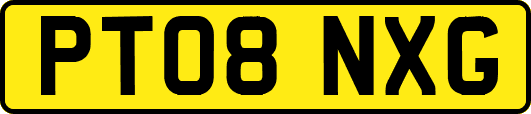 PT08NXG