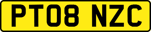 PT08NZC