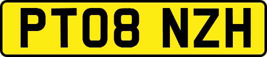 PT08NZH