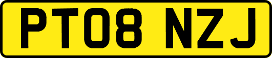 PT08NZJ