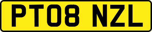 PT08NZL