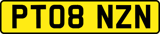 PT08NZN