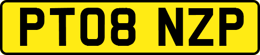 PT08NZP
