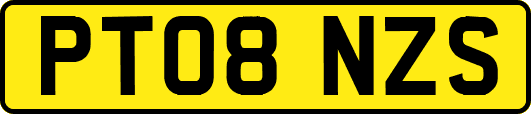 PT08NZS