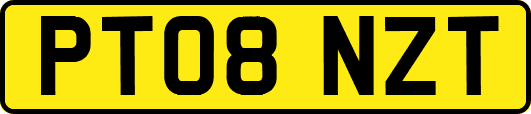 PT08NZT