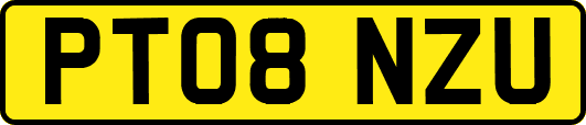 PT08NZU