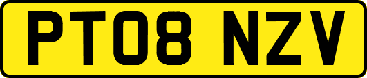 PT08NZV