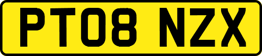 PT08NZX
