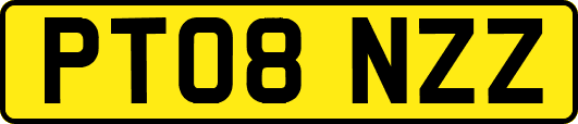 PT08NZZ