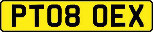 PT08OEX