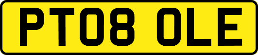 PT08OLE
