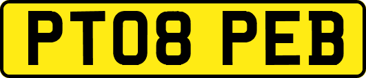 PT08PEB