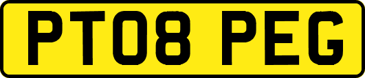 PT08PEG