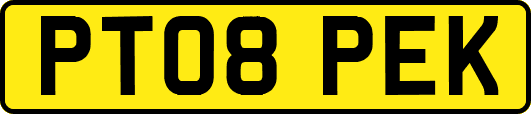 PT08PEK