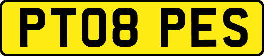PT08PES