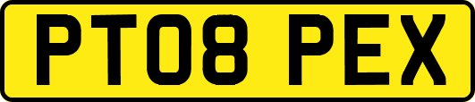 PT08PEX