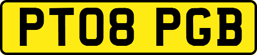 PT08PGB