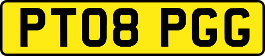 PT08PGG