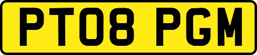 PT08PGM