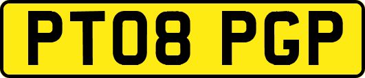PT08PGP
