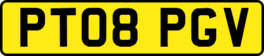 PT08PGV